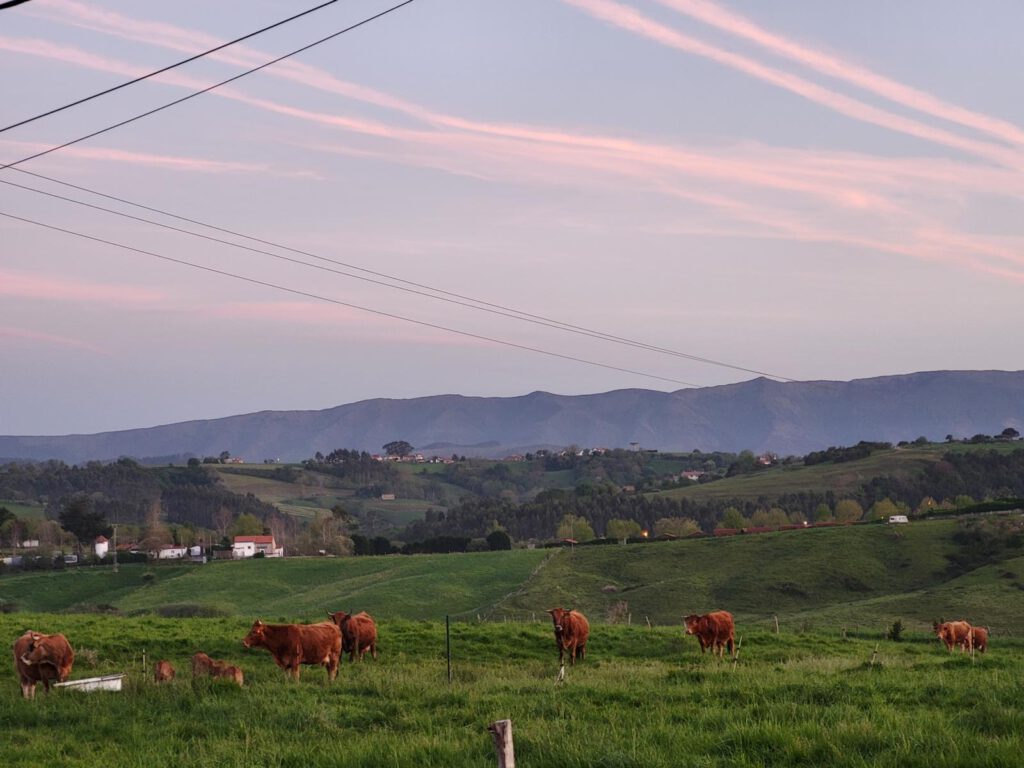Berglandschaft in Nordspanien bei Sonnenuntergang, davor eine grüne Wise mit Kühen und ein paar Häuser.